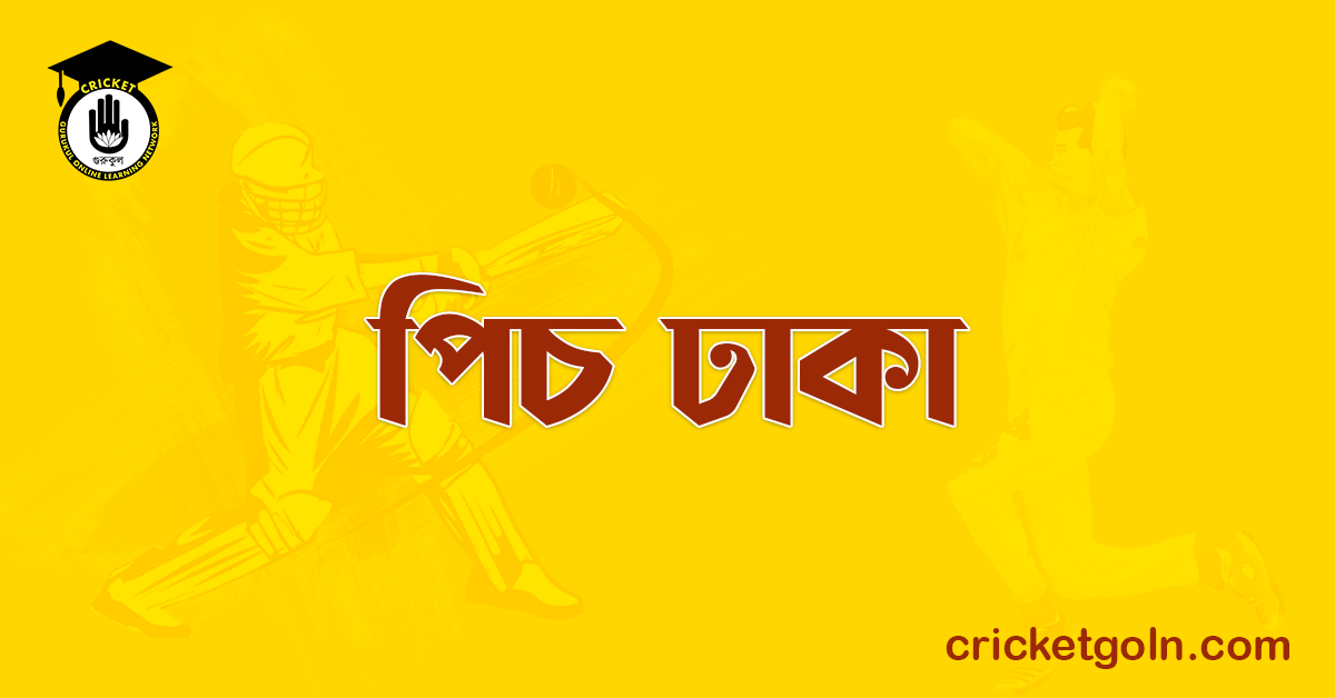 পিচ ঢাকা 1 পিচ ঢাকা